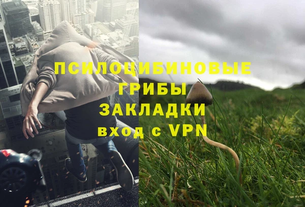 ALPHA PVP Баксан