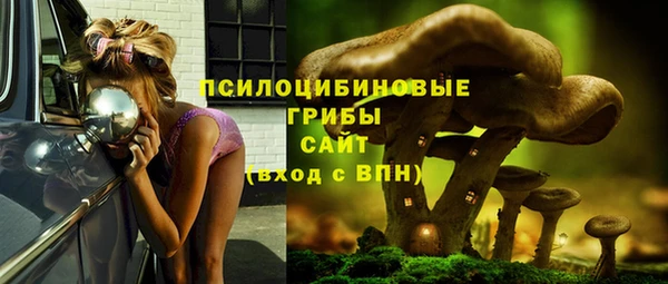 ALPHA PVP Баксан
