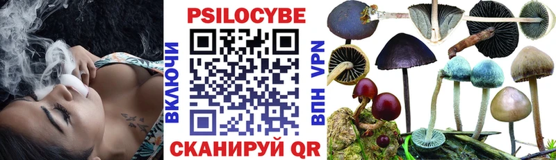 Галлюциногенные грибы Magic Shrooms  Черняховск 